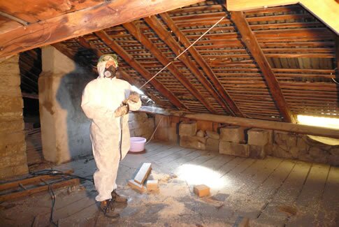 Traitement de termites charpente couvreur Saint Denis de Pile